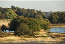 Richmond Park